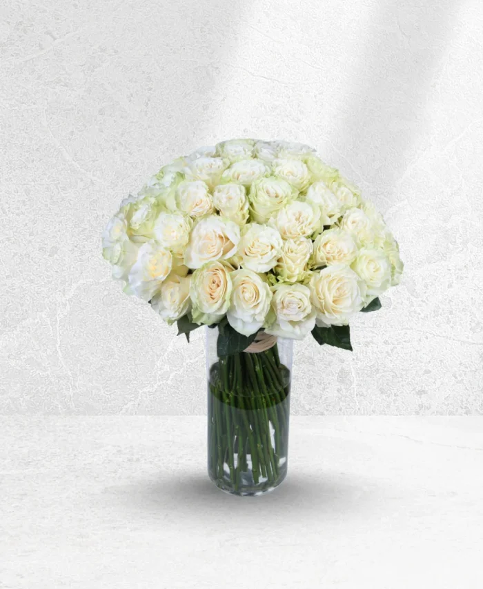 Pure Elegance 100 Roses