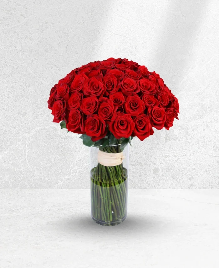Scarlet Dream 100 Roses