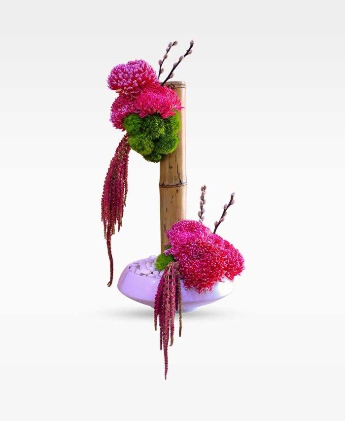 أناقة الخيزران