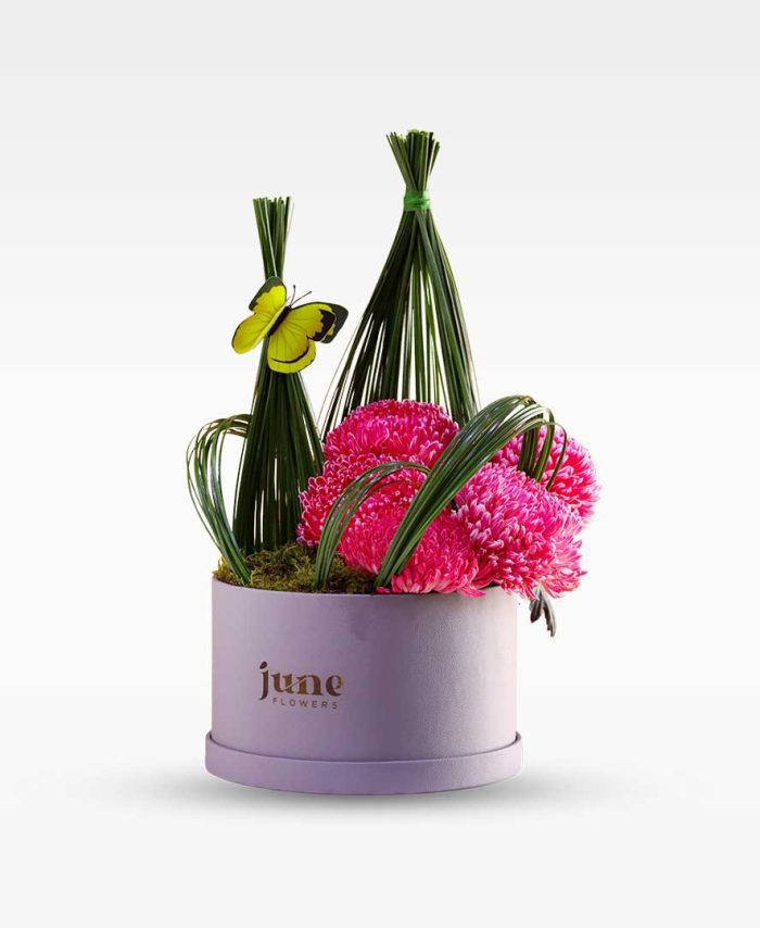 بلوم ديلايت