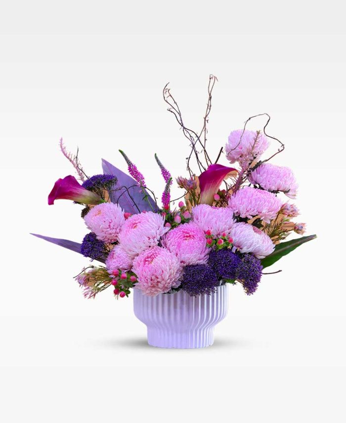 بلوسوم سيمفونية بلوسوم