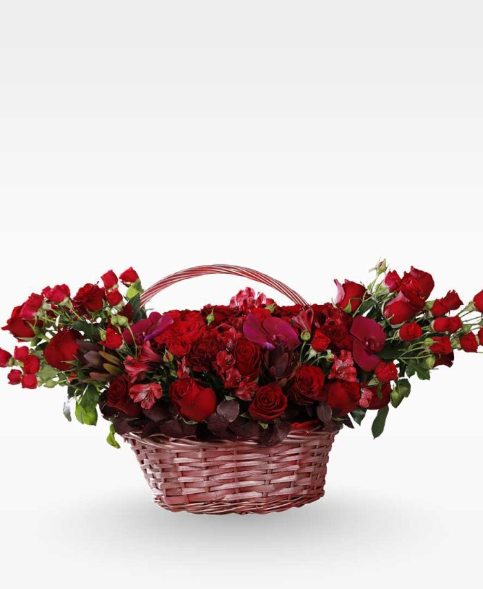 Deep Red Royale Basket