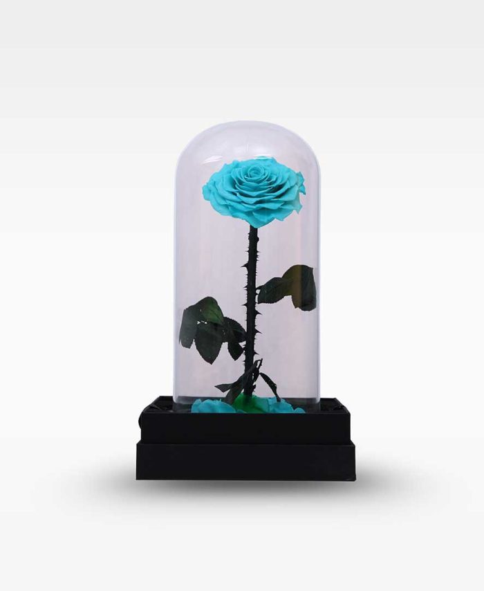 Light Blue Trio Forever Rose