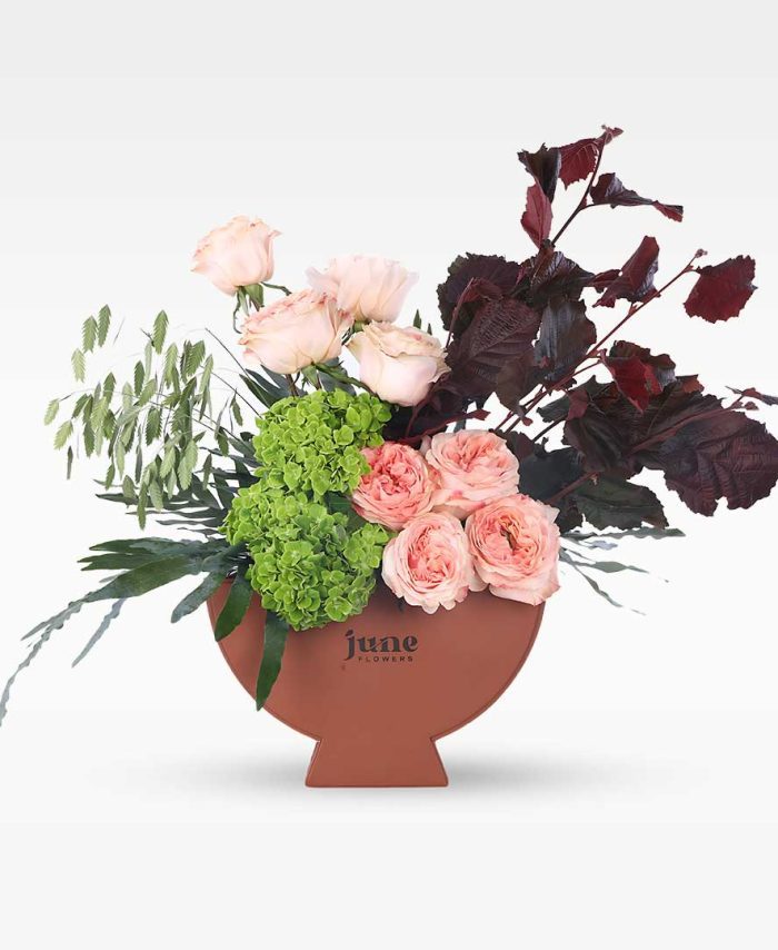 سيجنيتشر هارموني