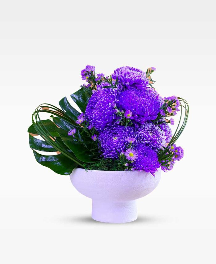 فيوليت بلوم